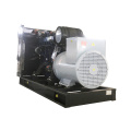 300KVA Lowes LPG Powered Generator Set